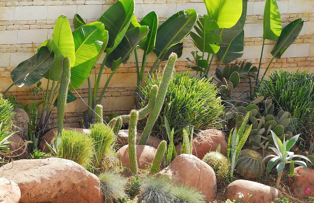 Hotel Timoulay And Spa Agadir-1